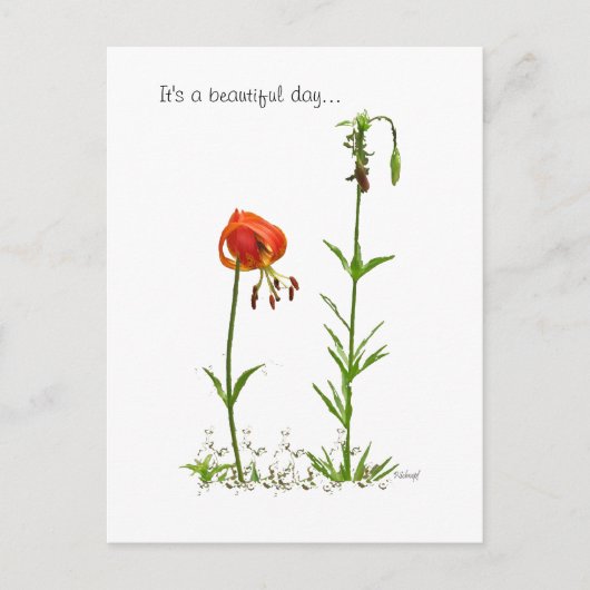 Mooie dag... briefkaart (Voorkant)