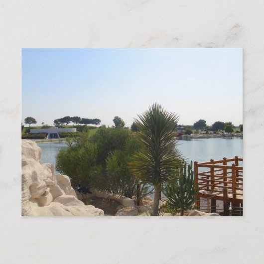 mooie dag in de vijver briefkaart (Voorkant)