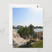 mooie dag in de vijver briefkaart (Voorkant / Achterkant)