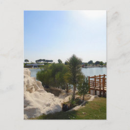 mooie dag in de vijver briefkaart