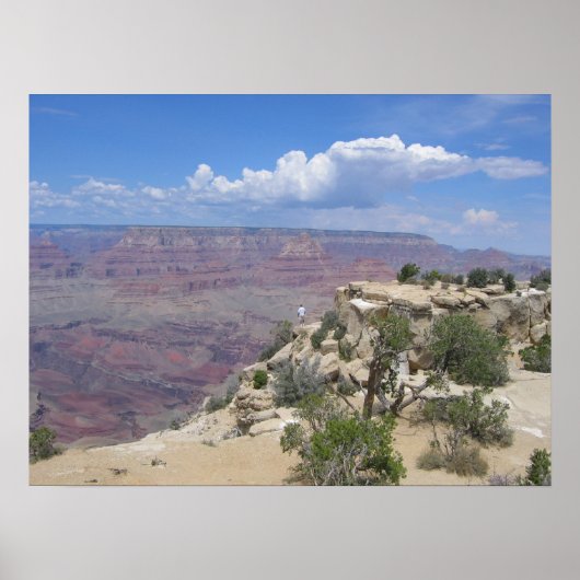 Mooie dag in Grand Canyon Poster (Voorkant)