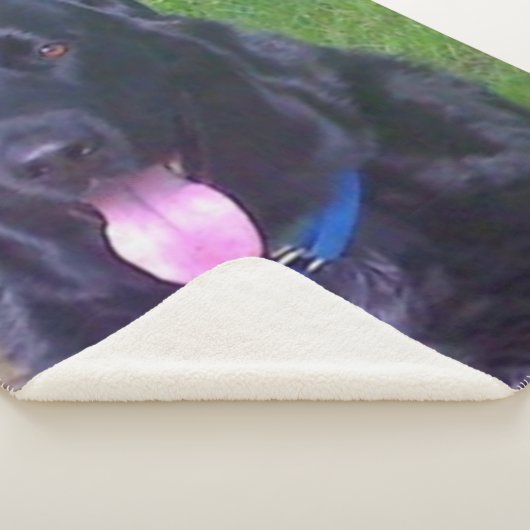 Mooie dag sherpa deken (3/4)