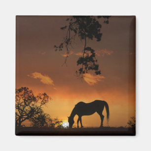 Mooie dag zonsopgang met paard magneet