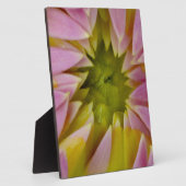 Mooie Dahlia Fotoplaat (Zijkant)