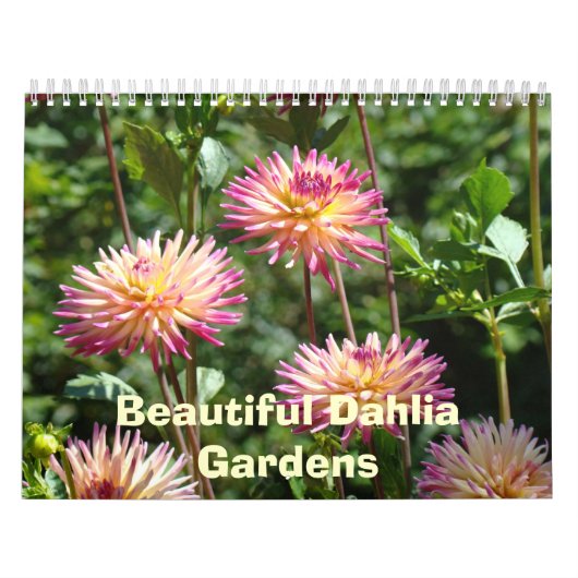 Mooie Dahlia Gardens Calendars Floral Photos Kalender (Hoes)