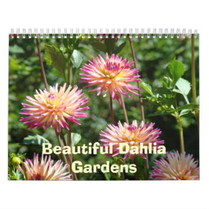Mooie Dahlia Tuinen Kalenders Bloem Foto's Kalender