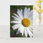 Mooie Daisy Kaart (Gele Bloem)