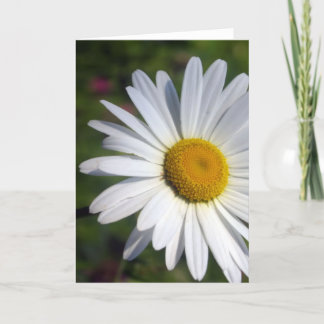 Mooie Daisy Kaart