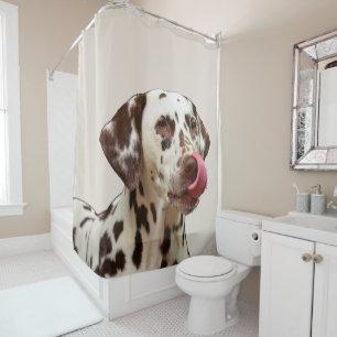Mooie Dalmatische Hond Tan Brown Elegant Douchegordijn