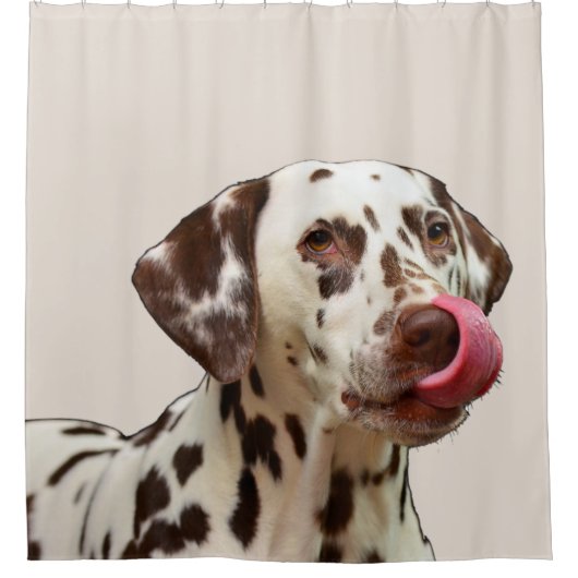 Mooie Dalmatische Hond Tan Brown Elegant Douchegordijn (Voorkant)
