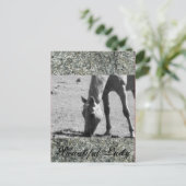 Mooie dame briefkaart (Staand voorkant)