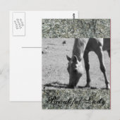 Mooie dame briefkaart (Voorkant / Achterkant)