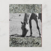 Mooie dame briefkaart (Voorkant)