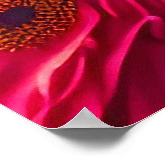 Mooie dame in het rood poster (Hoek)