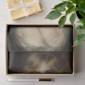 mooie dame van albert lynch , belle époque , victo tissuepapier (Geschenk)