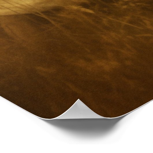 Mooie  dames poster (Hoek)