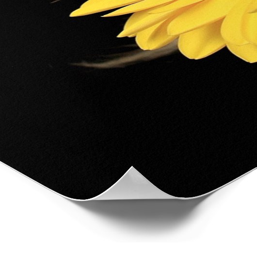 Mooie dameshaarventilator hair salon poster (Hoek)