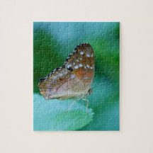 Mooie Danaus Plexippus Butterfly op Leaf.