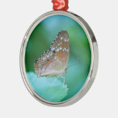 Mooie Danaus Plexippus Butterfly op Leaf. Metalen Ornament (Links)