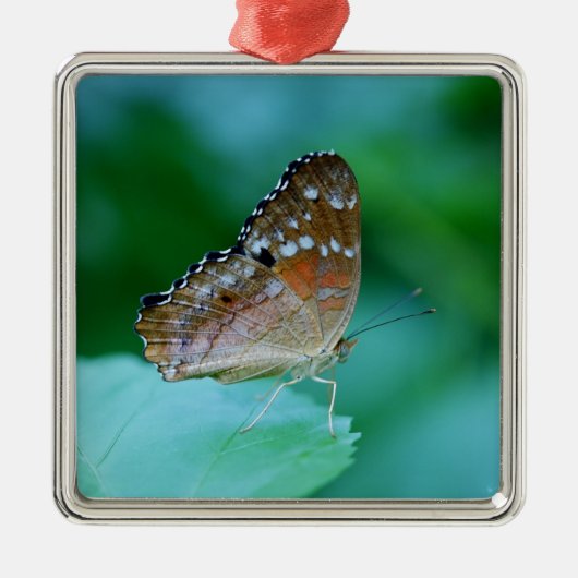Mooie Danaus Plexippus Butterfly op Leaf. Metalen Ornament (Voorkant)