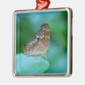 Mooie Danaus Plexippus Butterfly op Leaf. Metalen Ornament (Links)