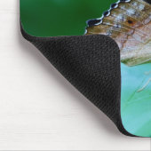 Mooie Danaus Plexippus Butterfly op Leaf. Muismat (Hoek)