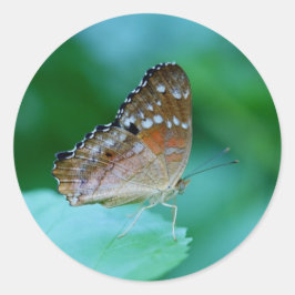 Mooie Danaus Plexippus Butterfly op Leaf. Ronde Sticker