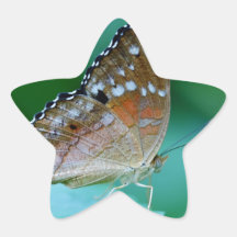 Mooie Danaus Plexippus Butterfly op Leaf.