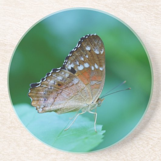 Mooie Danaus Plexippus Butterfly op Leaf. Zandsteen Onderzetter (Voorkant)