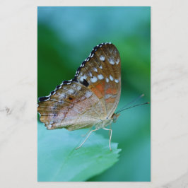 Mooie Danaus Plexippus Vlinder op Blad. Briefpapier