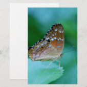 Mooie Danaus Plexippus Vlinder op Blad. Briefpapier (Voorkant / Achterkant)