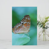 Mooie Danaus Plexippus Vlinder op Blad. Briefpapier (Staand voorkant)