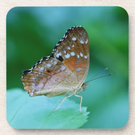 Mooie Danaus Plexippus Vlinder op Blad. Drankjes Onderzetter