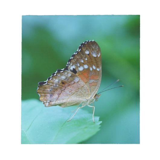 Mooie Danaus Plexippus Vlinder op Blad. Notitieblok (Voorkant)
