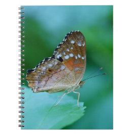 Mooie Danaus Plexippus Vlinder op Blad. Notitieboek