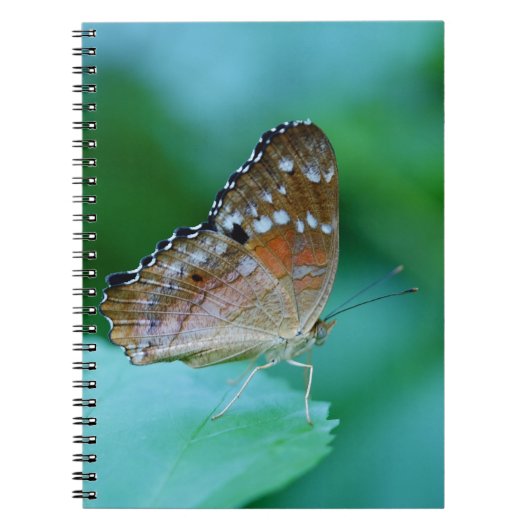 Mooie Danaus Plexippus Vlinder op Blad. Notitieboek (Voorkant)