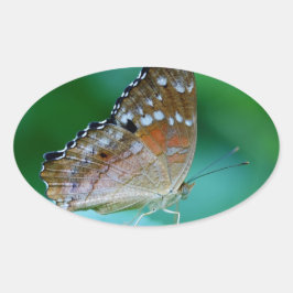 Mooie Danaus Plexippus Vlinder op Blad. Ovale Sticker