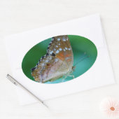 Mooie Danaus Plexippus Vlinder op Blad. Ovale Sticker (Envelop)