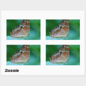 Mooie Danaus Plexippus Vlinder op Blad. Rechthoekige Sticker (Vel)