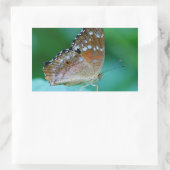 Mooie Danaus Plexippus Vlinder op Blad. Rechthoekige Sticker (Tas)