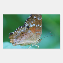 Mooie Danaus Plexippus Vlinder op Blad. Rechthoekige Sticker