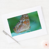 Mooie Danaus Plexippus Vlinder op Blad. Rechthoekige Sticker (Envelop)