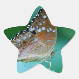 Mooie Danaus Plexippus Vlinder op Blad. Ster Sticker