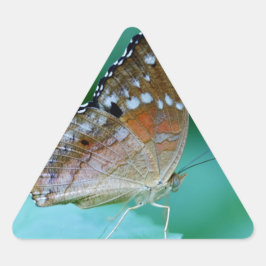 Mooie Danaus Plexippus Vlinder op Blad. Sticker