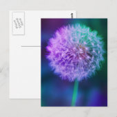 Mooie Dandelion foto op blauwe achtergrond | Briefkaart (Voorkant / Achterkant)