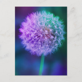 Mooie Dandelion foto op blauwe achtergrond | Briefkaart