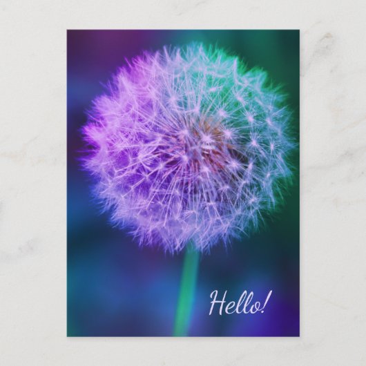 Mooie Dandelion op blauwe achtergrond Briefkaart (Voorkant)