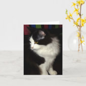 Mooie de notakaart van het Kat Kaart (Gele Bloem)