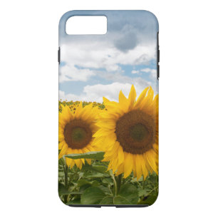mooie de zomerzonnebloemen 	iPhone 8/7 plus hoesje