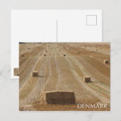 Mooie Deense landschapspostkaart! Briefkaart (Voorkant / Achterkant)